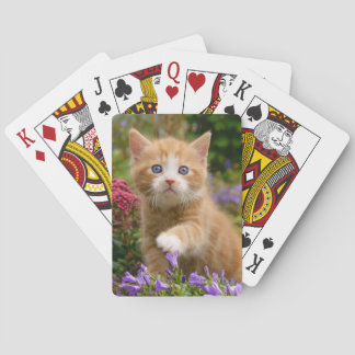 Cute ginger kitten in a garden poker cards