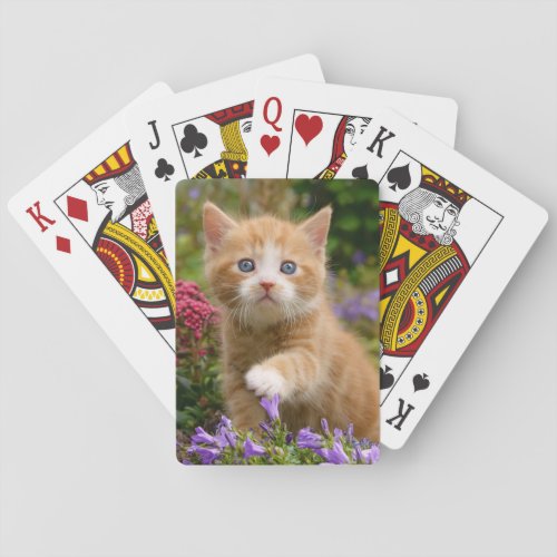 Cute ginger kitten in a garden poker cards