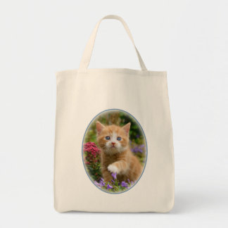 Cute ginger kitten in a garden tote bag