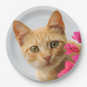 Cute Ginger Kitten Watching You, Happy Party Paper Plates