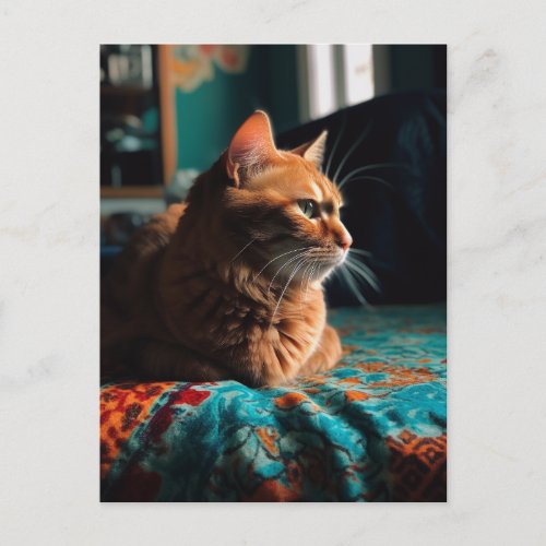 Cute Ginger Kitty Teal Blanket Postcard