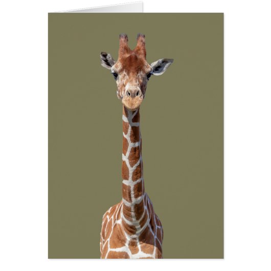 Cute giraffe face cards (Front)