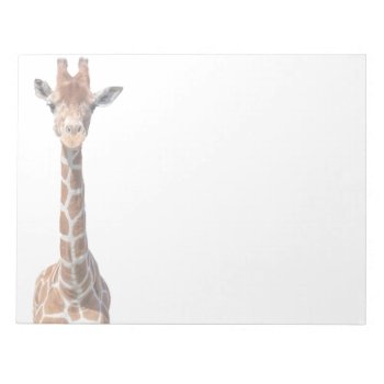 Cute Giraffe Face Notepad by hildurbjorg at Zazzle