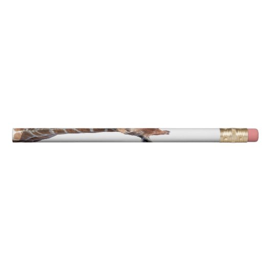Cute giraffe face pencil (Rotated 90)