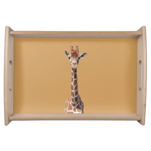 Cute giraffe face serving tray