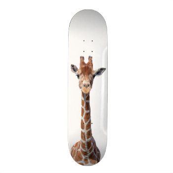 Cute Giraffe Face Skateboard by hildurbjorg at Zazzle