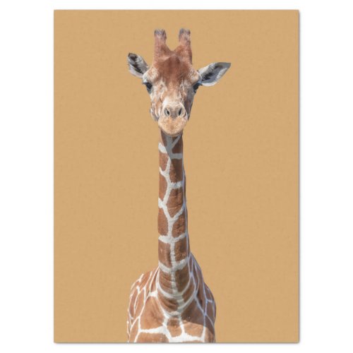 Cute giraffe face tissue paper