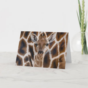 cute giraffe happy birthday card