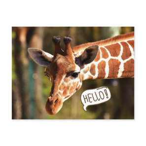 Cute Giraffe Head Hello Postcard