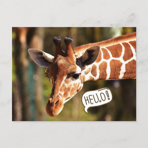 Cute Giraffe Head Hello Postcard
