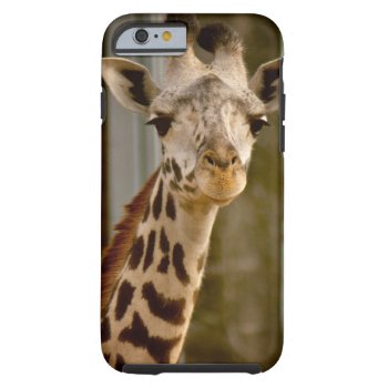 Cute Giraffe Iphone 6 Case by RossiCards at Zazzle