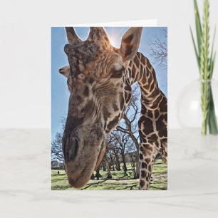 Cute Giraffe Sending Thoughts Note Card