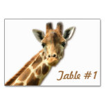 Cute Giraffe Table Number