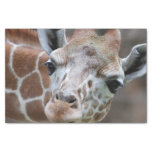 Cute Giraffe Tissue Paper