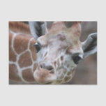 Cute Giraffe Tissue Paper