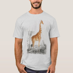 Cute giraffe wild african animal   men T-Shirt