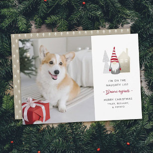 Cute Gnome Regrets   Pet Christmas Photo   Holiday Card