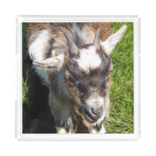 CUTE GOAT ACRYLIC TRAY