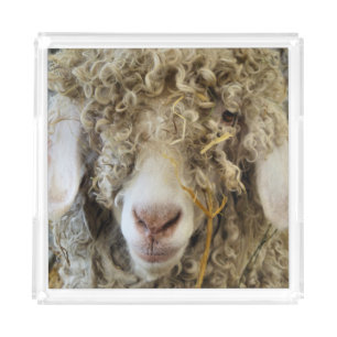 CUTE GOAT ACRYLIC TRAY