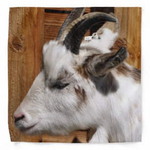 CUTE GOAT BANDANA
