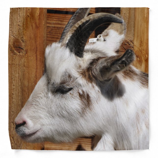 CUTE GOAT  BANDANA (Front)