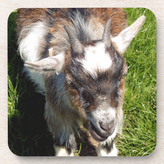 CUTE GOAT BEVERAGE COASTER (Front)