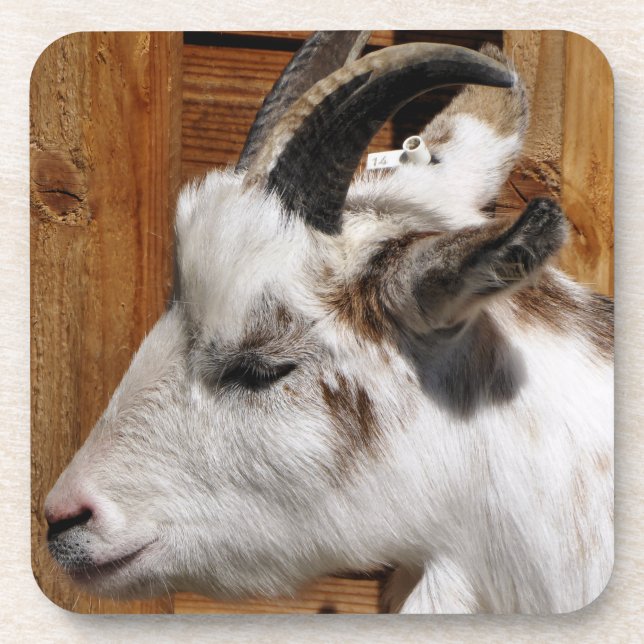 CUTE GOAT   BEVERAGE COASTER (Front)