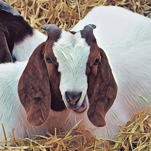 CUTE GOAT BOTTLE OPENER