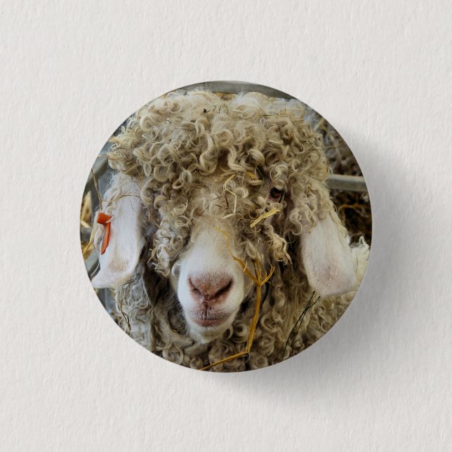 CUTE GOAT BUTTON (Front)