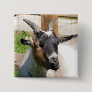 CUTE GOAT BUTTON