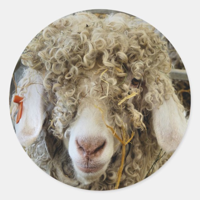 CUTE GOAT  CLASSIC ROUND STICKER (Front)