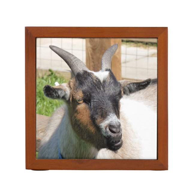 CUTE GOAT DESK ORGANIZER (Front)