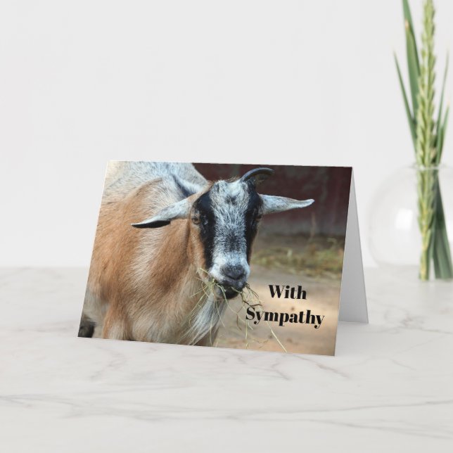 Cute Goat Eating Hay Photo Sympathy Card (Front)