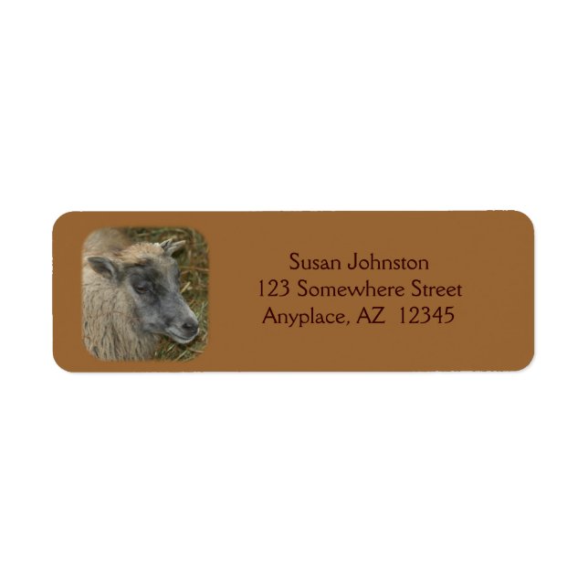 Cute Goat Farm Animal Address Label (Front)