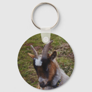 Cute Goat. Keychain