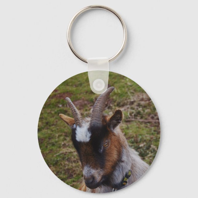 Cute Goat. Keychain (Front)