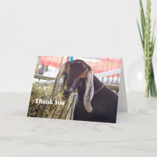Cute Goat Long Ears Photo Letterpress Thank You Card