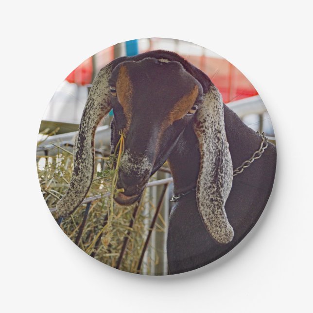 Cute Goat Long Ears Photo Paper Plates (Front)