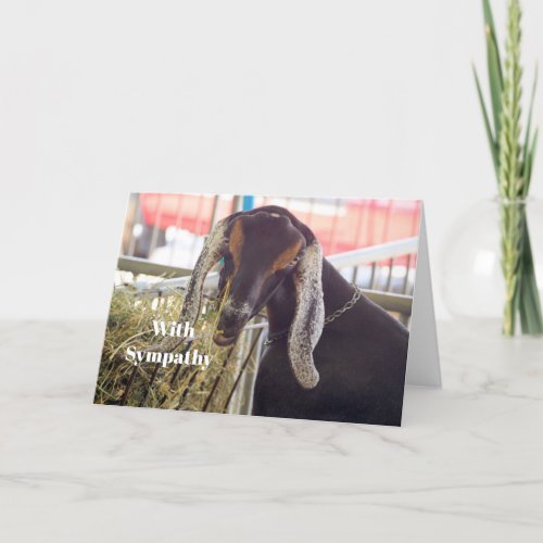 Cute Goat Long Ears Photo Sympathy Card