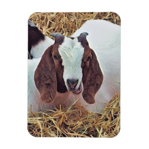 CUTE GOAT MAGNET