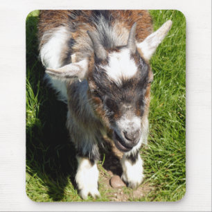 CUTE GOAT MOUSE PAD