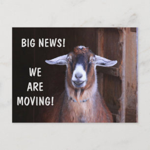 Cute Goat Moving Announcement Postcard