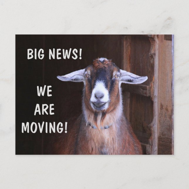 Cute Goat Moving Announcement Postcard (Front)