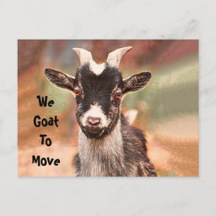 Cute Goat Moving New Address Budget Postcard