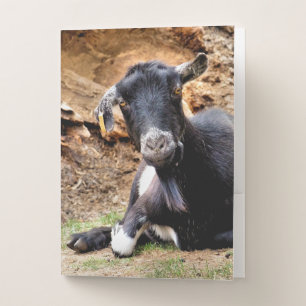 CUTE GOAT POCKET FOLDER