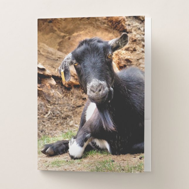 CUTE GOAT POCKET FOLDER (Front)
