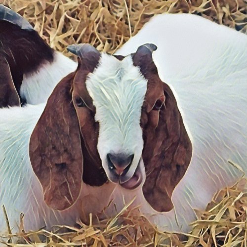 CUTE GOAT POCKET WATCH