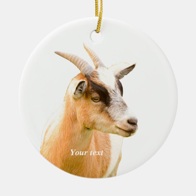 Cute goat portrait photography  ceramic ornament (Front)
