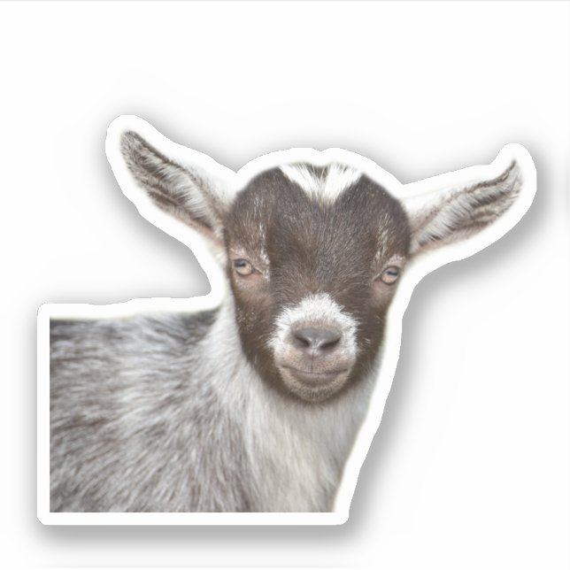 Cute Goat Portrait Sticker (Front)