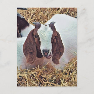 CUTE GOAT POSTCARD